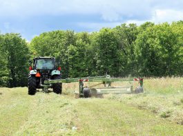 James Harley, co-owner of Harley Farms in Keene, cuts hay. While the agriculture sector is highly vulnerable to the impacts of climate change, it also produces 10 per cent of Canada's greenhouse gas emissions, not including the use of fossil fuels. The Net Zero Farms pilot project will subsidize a cohort of local agriculture businesses to join Green Economy Peterborough, where they will be supported to measure their footprint, learn from one another, and expand our regional understanding of local opportunities for climate action. (Photo: Veronica Price Jones / Harley Farms)