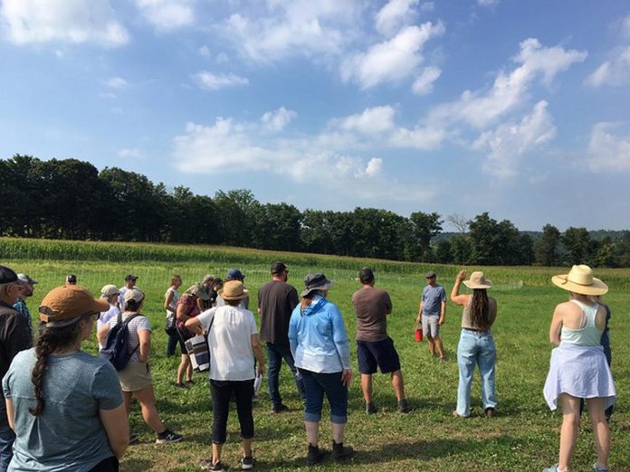 Norm Lamothe of Woodleigh Farms in Cavan gives a tour of his farm, which uses crop rotations, cover crops, solar technology, composting, and no-till practices to inform their sustainable business model. (Photo: Jackie Donaldson / Green Economy Peterborough)