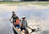 Ian Attridge paddles a canoe with Sue Sauve as Georgie Horton Baptiste takes photos among mnoomin (wild rice) beds in the Kawarthas, a traditional food of the Michi Saagiig Anishinaabeg. (Photo courtesy of Ian Attridge)