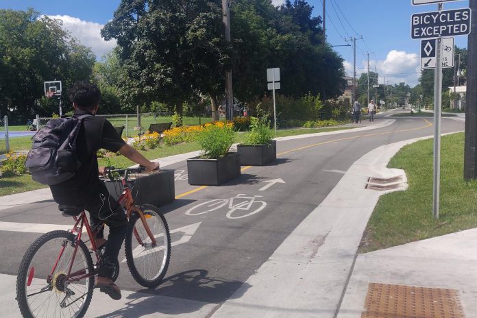 The Bethune Street bikeway, stretching from McDonnel Street to Townsend Street, is the first street in the City of Peterborough that best serves cyclists and pedestrians over cars and trucks. Pictured is a cyclist using Bethune Street while, in the background, an elderly couple walks beside a newly built pollinator garden. (Photo: Tegan Moss / GreenUP)