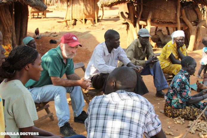 Under Cranfield's leadership from 1998 to 2009, the Mountain Gorilla Veterinary Project expanded to include its One Health programs for the mountain and Grauer's gorillas living in Uganda and the Democratic Republic of Congo, orphaned gorillas, and for people and animals working in and living near gorilla habitat. (Photo: Gorilla Doctors)