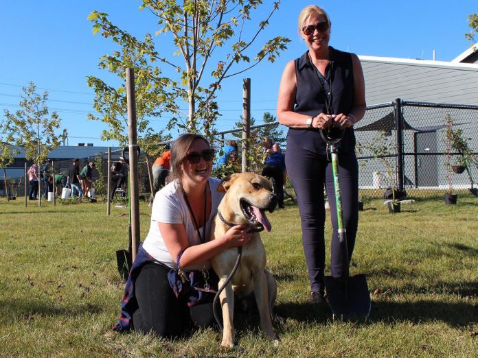 Jess Conlin and Jules Howe of the Peterborough Humane Society pose with Bison, who is currently available for adoption at the society's new animal care centre at 1999 Technology Drive in Peterborough. Pictured in the background are community volunteers planting dogwood and ninebark shrubs on National Tree Day (September 20, 2023) to create shade alongside an animal enclosure at the recently opened centre. (Photo courtesy of Otonabee Conservation)
