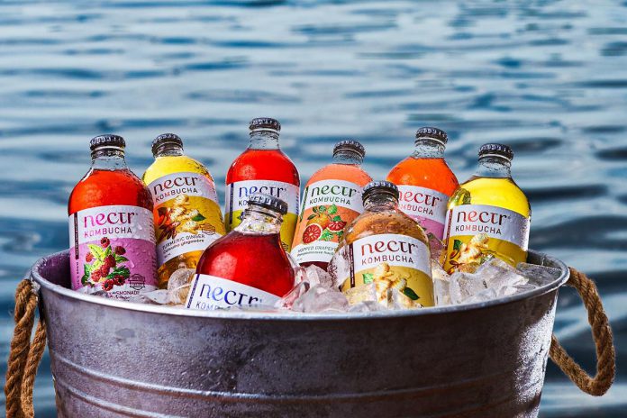 Owned and operated by 26-year-old Lucus Esson in Haliburton, Nectr Kombucha currently comes in eight main flavours, including ginger and turmeric, raspberry lemonade, and cherry hibiscus. Soon the company will be launching a new lavender mojito flavour, made with a butterfly pea flour tea, mint, and lime juice. (Photo courtesy of Nectr)