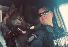 Police service dog Isaac and his handler constable Bob Cowie (pictured), along with police service dog Gryphon and police constable Dillon Wentworth, are representing the Peterborough Police Service at the 2023 National Police Dog Competition in Barrie, with the final day of competition on Saturday, September 9 open to the public. (Photo: Peterborough Police Service)