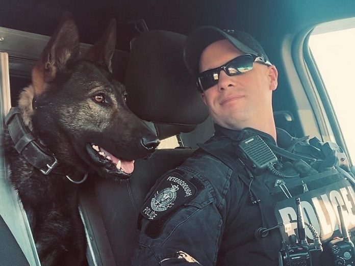 Police service dog Isaac and his handler constable Bob Cowie (pictured), along with police service dog Gryphon and police constable Dillon Wentworth, are representing the Peterborough Police Service at the 2023 National Police Dog Competition in Barrie, with the final day of competition on Saturday, September 9 open to the public. (Photo: Peterborough Police Service)