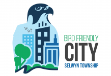 The Township of Selwyn has received entry-level certification under Nature Canada's Bird Friendly City program. (Graphic: Bird Friendly Selwyn)