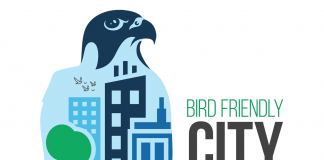 The Township of Selwyn has received entry-level certification under Nature Canada's Bird Friendly City program. (Graphic: Bird Friendly Selwyn)