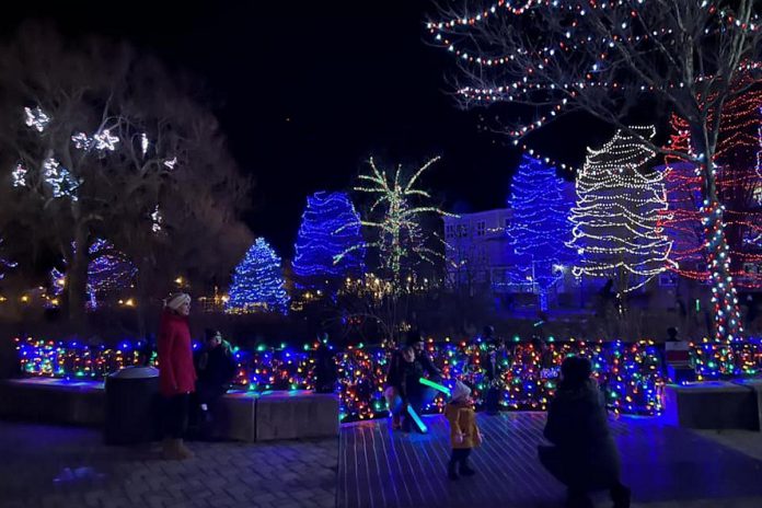 Christmas Magic in Cobourg sees 200,000 lights decorating the town's waterfront and Victoria and Rotary parks from November 24, 2023 until January 7. (Photo: Town of Cobourg)