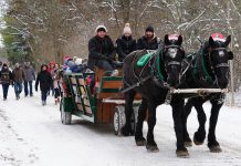 There's festive fun for the whole family in communities across the Kawarthas region in the weeks leading up to Christmas, including Christmas at Ken Reid on December 2, 2023 featuring a day of free family fun and adventure including horse-drawn wagon rides at Ken Reid Conservation Area in Lindsay. (Photo: Kawartha Conservation)