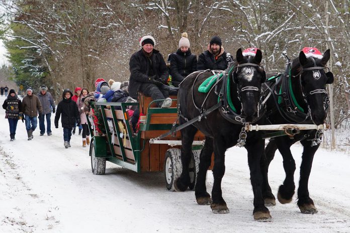 There's festive fun for the whole family in communities across the Kawarthas region in the weeks leading up to Christmas, including Christmas at Ken Reid on December 2, 2023 featuring a day of free family fun and adventure including horse-drawn wagon rides at Ken Reid Conservation Area in Lindsay. (Photo: Kawartha Conservation)