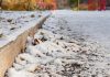 First significant snowfall of season in the Kawarthas expected for Sunday Light snow on the ground in late autumn. (Stock photo)