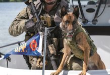 Aaron, a four-year-old Belgian Malinois embedded in the OPP Tactics and Rescue Unit and winner of the obedience category at the 2023 Canadian Police Canine Association's National Police Dog Competition, is featured on the cover of the 2024 OPP canine unit calendar, which raises funds for the OPP Youth Foundation and Friends of The OPP Museum. (Photo: OPP)