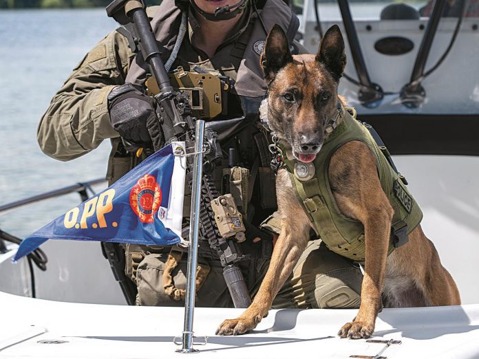 Aaron, a four-year-old Belgian Malinois embedded in the OPP Tactics and Rescue Unit and winner of the obedience category at the 2023 Canadian Police Canine Association's National Police Dog Competition, is featured on the cover of the 2024 OPP canine unit calendar, which raises funds for the OPP Youth Foundation and Friends of The OPP Museum. (Photo: OPP)