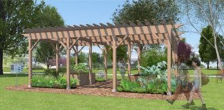 A lath house, made chiefly of laths (slats) spaced to reduce excessive sunlight, is used for growing plants that require some shade. GreenUP's iconic Lath House in Ecology Park has degraded and needs to be replaced. With community support, here's what a rebuilt Ecology Park Lath House would look like, showing the potential for productive garden bed design in 2024. (Rendering: Hayley Goodchild / GreenUP)