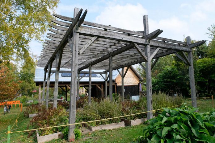 The existing Lath House at Ecology Park is in serious disrepair and can no longer be used to grow native plants that require partial shade. A new lath house will increase GreenUP's capacity to raise native plants and will also create an additional teaching space for climate education. (Photo: Lili Paradi / GreenUP)