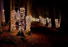 The Illuminated Forest at Ken Reid Conservation Area near Lindsay is a nighttime family attraction during the holidays where hundreds of trees along the Cedar Forest trail are adorned with lights. (Photo: Kawartha Conservation / Facebook)
