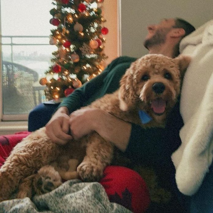 One-year-old cocker spaniel mix Benji, the star of a new campaign ad for Peterborough Humane Society created and donated by Peterborough-based creative agency Unmanned, found his forever home just days after filming of the ad was completed, after bring adopted by Lucas (pictured) and Gawsee. (Photo by Gawsee, courtesy of Peterborough Humane Society)