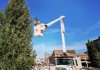 On December 15, 2023, the City of Peterborough will host a lighting ceremony for a 35-foot-tall local spruce tree installed on November 30 in Quaker Foods City Square in downtown Peterborough. (Photo: Treescape Certified Arborists / Facebook)