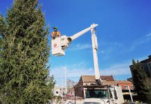 On December 15, 2023, the City of Peterborough will host a lighting ceremony for a 35-foot-tall local spruce tree installed on November 30 in Quaker Foods City Square in downtown Peterborough. (Photo: Treescape Certified Arborists / Facebook)