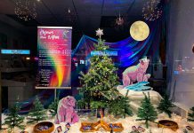 The Art School of Peterborough's winning window display in the 2023 holiday window contest sponsored by the Peterborough Downtown Business Improvement Area (DBIA). As first-place winner, the school receives $1,000. (Photo: Peterborough DBIA)