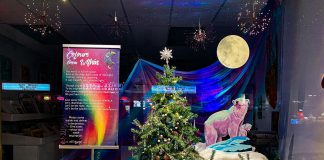 The Art School of Peterborough's winning window display in the 2023 holiday window contest sponsored by the Peterborough Downtown Business Improvement Area (DBIA). As first-place winner, the school receives $1,000. (Photo: Peterborough DBIA)