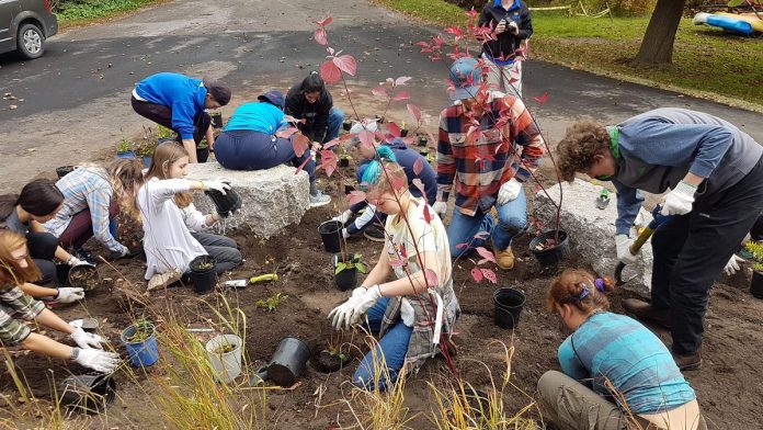 Otonabee Conservation and Youth Leadership in Sustainability (YLS) partner to plant over 100 native plants into a pollinator and rain garden in order to prevent storm water runoff. (Photo: Cameron Douglas / YLS)