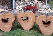 Heat Bank Haliburton County, a program of the Central Food Network (CFN), is on a mission to keep homes warm in Haliburton County and find opportunities to help people who are living in poverty, including by providing emergency firewood. (Photo: Central Food Network)