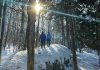 The winter edition of the Hike Haliburton Festival is returning to the Haliburton Highlands on February 3 and 4, 2024. Registration is now open for free guided hikes led by local volunteers, paid excursions from local outdoor adventure companies, and self-guided opportunities. (Photo courtesy of Hike Haliburton)