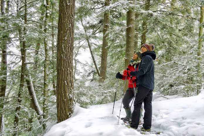 The free guided hikes during the winter edition of the Hike Haliburton Festival in Haliburton Highlands on February 3 and 4, 2024 range in difficulty level from beginner to more challenging. (Photo courtesy of Hike Haliburton)