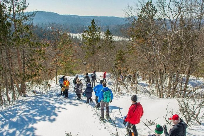 Whether on snowshoes or skis, the winter edition of the Hike Haliburton Festival in Haliburton Highlands on February 3 and 4, 2024 provides you with an opportunity to try new experiences without the fear of doing it on your own since knowledgeable local experts will lead the way. (Photo courtesy of Hike Haliburton)