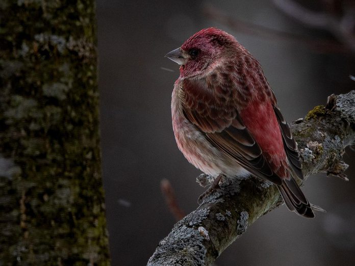 "The Lookout" by Keith Manser, one of the six emerging photographers who participated in SPARK Photo Festival's 2023 Emerging Artists Exhibit Program. The program returns in 2024, with Alexis Belliveau, Will Pearson, Kathy Romard, Sarah Van Ryn, and Margaret Wood selected as participants. (Photo: Keith Manser, courtesy of SPARK Photo Festival)