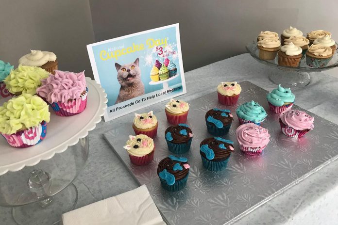 Peterborough's Champlain Animal Hospital will be selling homemade cupcakes between February 26 and March 21, 2024 in support of the Lakefield Animal Welfare Society. (Photo: Champlain Animal Hospital)