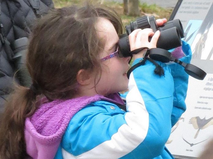 Taking place over the Family Day long weekend in Ontario, the Great Backyard Bird Count is an opportunity to introduce children to birding and make a new citizen science tradition with your family. (Photo: Sharon Cleveland / Macaulay Library, Cornell Lab of Ornithology)