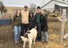 The Lamothe family of Woodleigh Farms in Cavan, one of the participants in Green Economy Peterborough's Net Zero Farms pilot project that assists farmers in incorporating environmentally sustainable practices into their operations. (Photo courtesy of Woodleigh Farms)