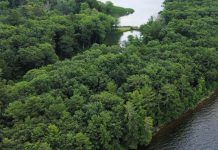 Kawartha Land Trust has announced the largest protected property purchase in the land conservation organization's 22-year history: the new 1,411-acre Hammer Family Nature Preserve on the east shore of Pigeon Lake west of Lakehurst in Trent Lakes. The purchase was funded through private donations along with funding from the federal government and a $2.9 million investment by the Ontario government. (Photo: Kawartha Land Trust)