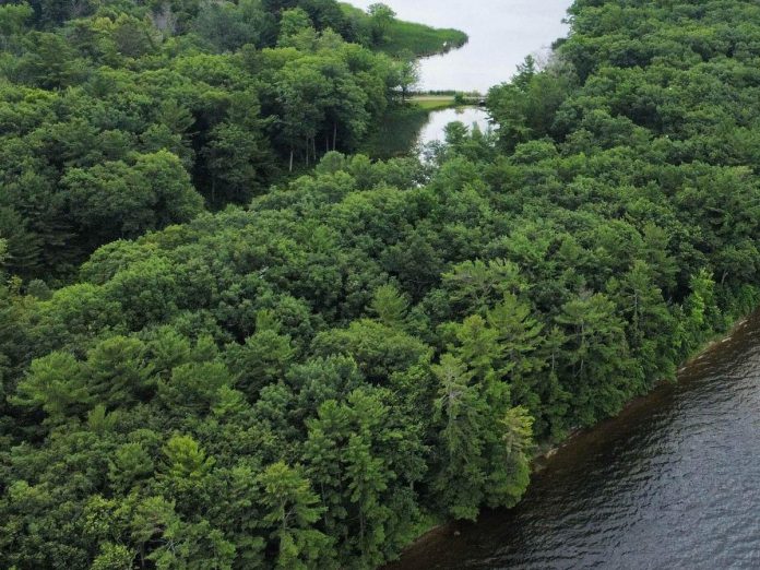 Kawartha Land Trust has announced the largest protected property purchase in the land conservation organization's 22-year history: the new 1,411-acre Hammer Family Nature Preserve on the east shore of Pigeon Lake west of Lakehurst in Trent Lakes. The purchase was funded through private donations along with funding from the federal government and a $2.9 million investment by the Ontario government. (Photo: Kawartha Land Trust)