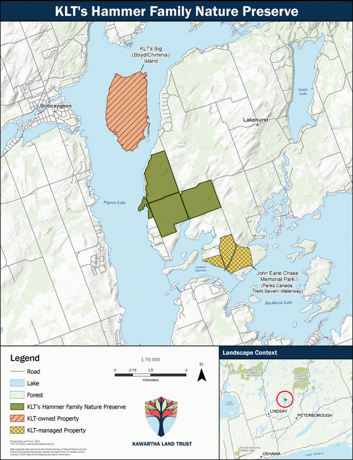 Kawartha Land Trust's new Hammer Family Nature Preserve is located on the east shore of Pigeon Lake west of Lakehurst in Trent Lakes. At 1,411 acres, the preserve is the largest protected property in the organization's history, with the next largest being the 1,142-acre Big Boyd (Chiminis) Island to the north. (Map: Kawartha Land Trust)