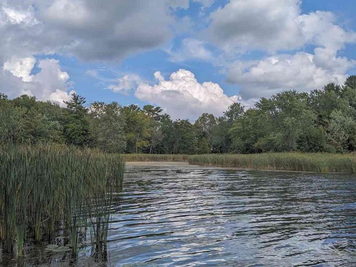 Kawartha Land Trust's new 1,411-acre Hammer Family Nature Preserve features more than 200 acres of wetlands, 183 of which include sections of the Bear Creek provincially significant wetland and the Fulton's Bay - Oak Orchard wetland, and well as 700 acres of deep upland forest. (Photo: Kawartha Land Trust)