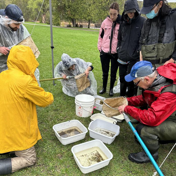 During the 2023 City Nature Challenge, Trent University biology students and instructors sampled water from Jackson Creek and shared their knowledge of aquatic critters with participants in Jackson's Park. Local experts will be in attendance at this year's event on April 26 and April 27, 2024 for educational immersive activities. (Photo: Kim Zippel)