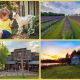 Know your locals, our ongoing series featuring locally owned businesses, this week spotlights fun day trips for all ages from The Greatest Creatures Petting Farm, Lavender Fields, The Escape Maze, and Lang Pioneer Village Museum.