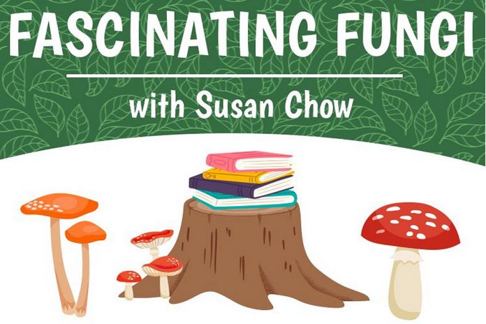 Learn about the world of fungi during a workshop at the Douro-Dummer Library on April 20, 2024. (Graphic: Douro-Dummer Library)