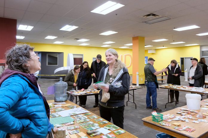 A seed exchange is a highlight of Seedy Sunday events in Peterborough. Participants share, trade, and swap ideas around seeds and seed saving. (Photo: Lili Paradi / GreenUP)