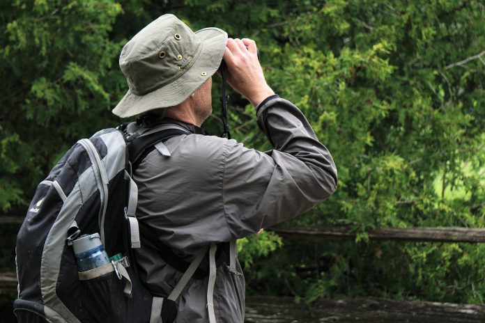 One of the activities Kawartha Conservation is hosting on World Migratory Bird Day (May 11, 2024) is "Winged Wonders: Bird Identification Adventure", a guided hike that offers an opportunity for birdwatchers of all levels to explore and identify the array of bird species inhabiting the landscapes of Ken Reid Conservation Area. (Photo courtesy Kawartha Conservation)