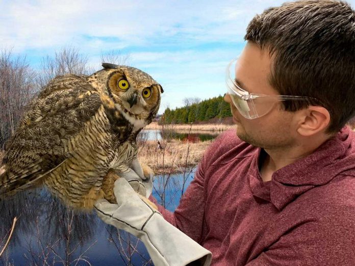 Bird Friendly Kawartha Lakes team member Thom Luloff with a great horned owl. Luloff is a professor in the school of environmental and natural resources sciences at Fleming College's Frost campus in Lindsay and also serves as board chair of the Kawartha Wildlife Centre. (Photo: Bird Friendly Kawartha Lakes)