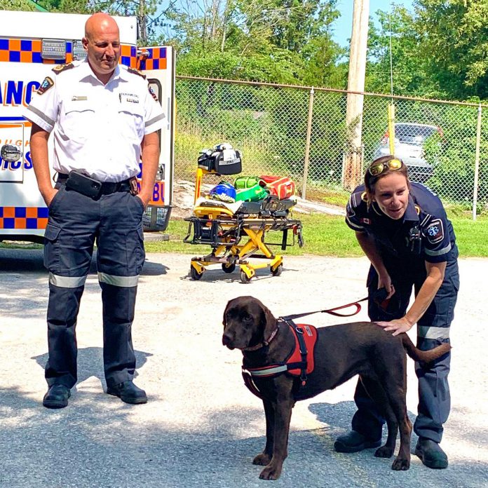 Charlie is Peterborough County's therapy dog. She's pictured here in 2023 during a visit to the Trent Lakes Public Library (Photo: Trent Lakes Public Library)