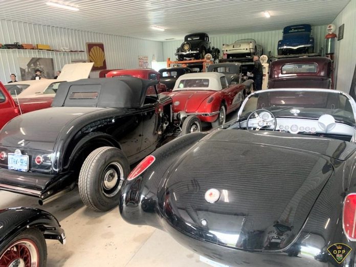 Some of the classic cars seized from a property in Stirling in Hastings County on May 14, 2024 following a multi-unit investigation by the Ontario Provincial Police (OPP). Two Stirling men are facing multiple charges. (OPP photo)
