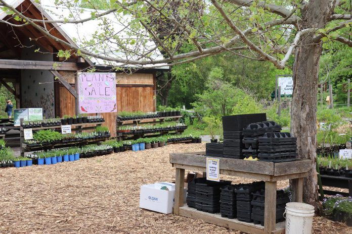 The Ecology Park Tree & Plant Nursery at 1899 Ashburnham Drive opens for the season on May 18, 2024. After opening day, the nursery will be open for plant sales and self-serve compost sales Thursdays from 10 a.m. to 6 p.m. and Friday to Sunday from 10 a.m. to 4 p.m.  (Photo: Jessica Todd/GreenUP).