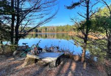 Between on-road, gravel, and mountain bike trails, there are nearly 40 curated cycling routes accessible throughout the Haliburton Highlands. The Haliburton County Rail Trail features stone benches in four spots along the trail, which are perfect locations to take a break and rest up while enjoying the breathtaking scenery. (Photo courtesy of Haliburton Highlands Economic Development & Tourism)