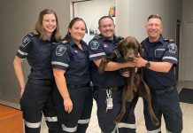 Celebrating Paramedic Services Week (May 19-25) helps boost the morale of paramedics and raise public awareness about the role the first responders play in the health care system. Pictured are four members of the Peterborough County-City Paramedics with facility dog Charlie, who comes to work each day work with the goal of reminding the team they are not alone as they face another shift. (Photo: Peterborough County / Facebook)