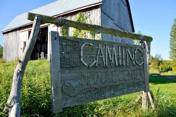 Located south of Bobcaygeon on Pigeon Lake, Gamiing Nature Centre invites visitors to learn from, explore, and connect with nature through events, camps, workshops, and up to seven kilometre of trails across forests and wetlands. The not-for-profit charity is hosting the Summer Solstice Festival for their 25th anniversary on June 22, 2024, complete with games, vendors, a silent auction, and live entertainment. (Photo courtesy of Gamiing Nature Centre)